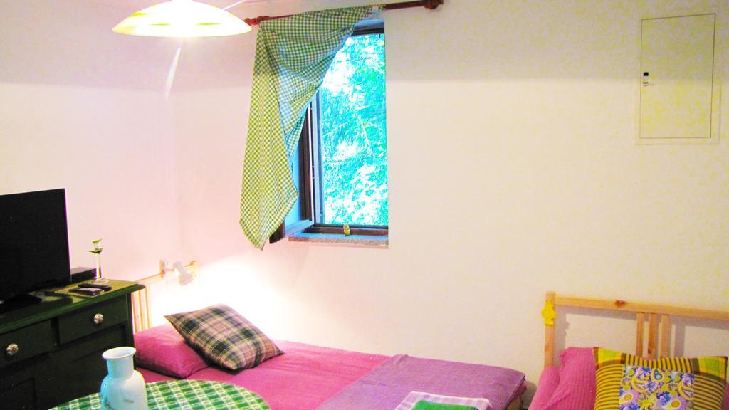 Room Galina Duga Resa Bagian luar foto